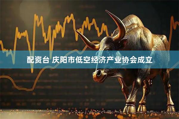 配资台 庆阳市低空经济产业协会成立
