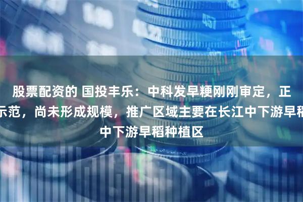 股票配资的 国投丰乐：中科发早粳刚刚审定，正在布点示范，尚未形成规模，推广区域主要在长江中下游早稻种植区