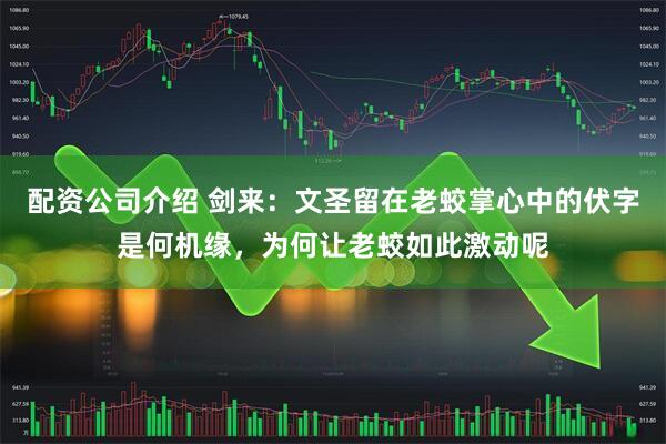 配资公司介绍 剑来：文圣留在老蛟掌心中的伏字是何机缘，为何让老蛟如此激动呢